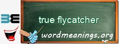 WordMeaning blackboard for true flycatcher